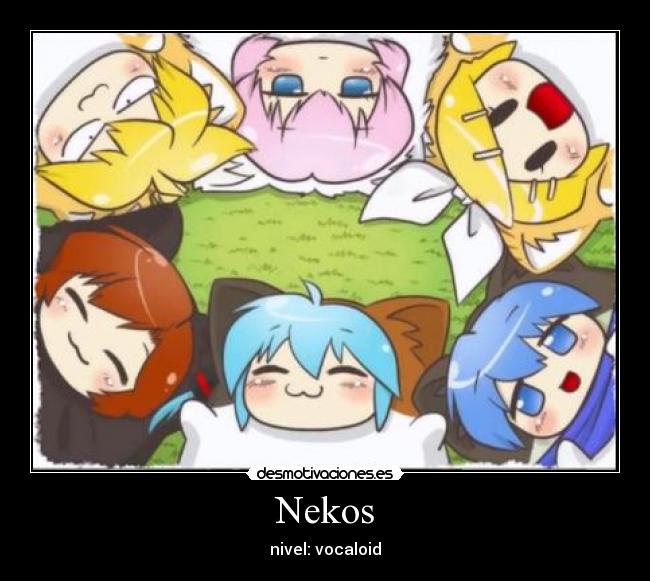 Nekos - nivel: vocaloid
