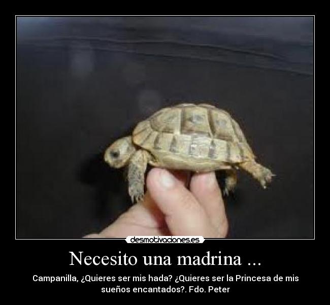 Necesito una madrina ... -