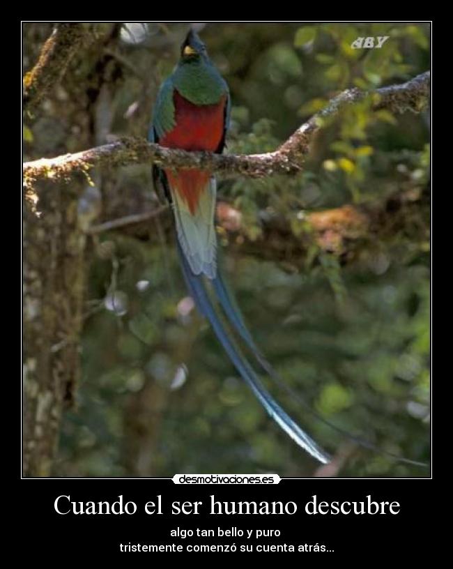 Cuando el ser humano descubre -