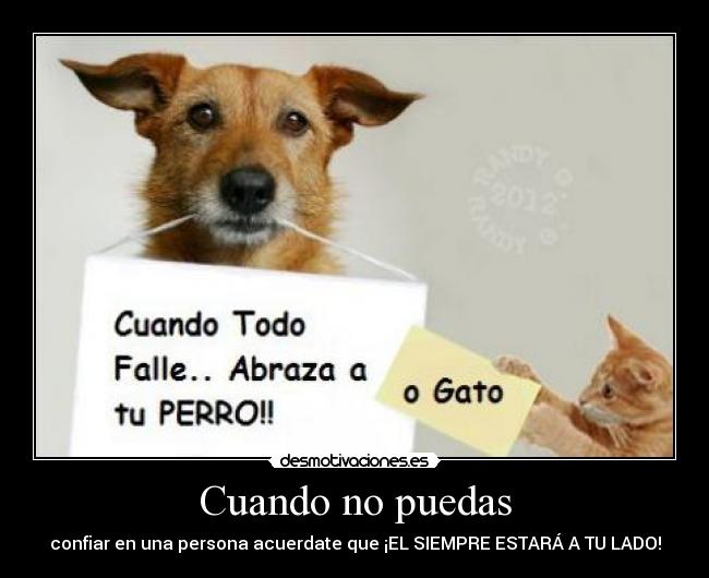 carteles mejor amigo desmotivaciones