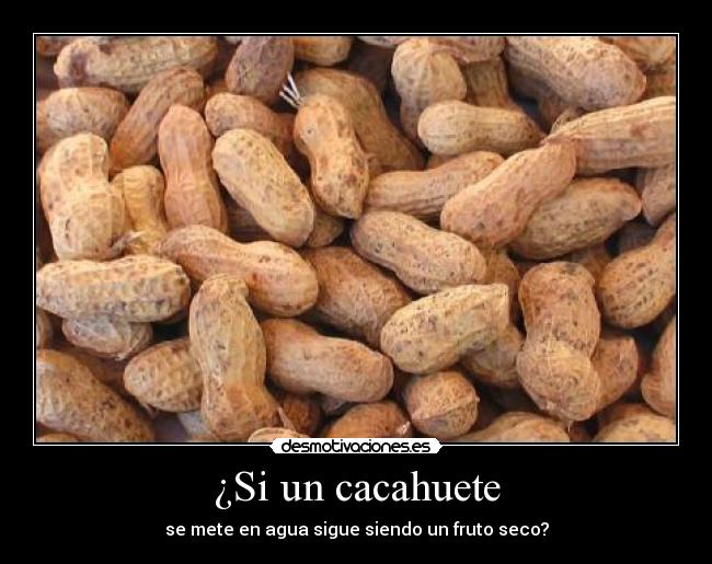 ¿Si un cacahuete -