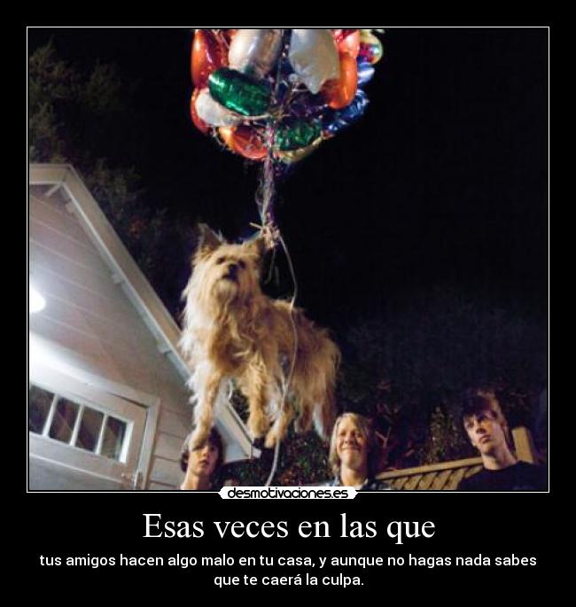 Esas veces en las que - 