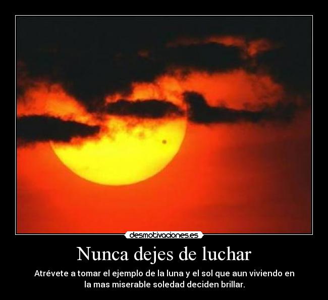 Nunca dejes de luchar - Atrévete a tomar el ejemplo de la luna y el sol que aun viviendo en
la mas miserable soledad deciden brillar.