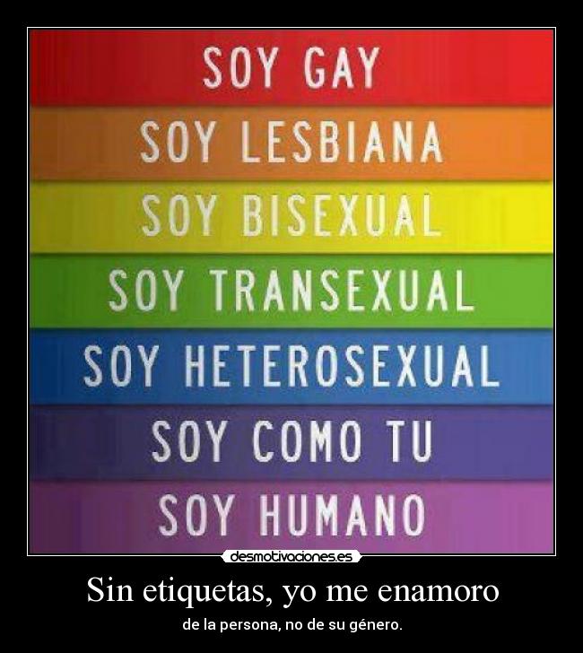 carteles gay lesbiana bisexuales heterosexuales desmotivaciones