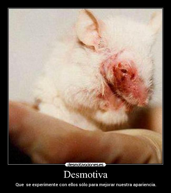 Desmotiva - Que se experimente con ellos sólo para mejorar nuestra apariencia.
