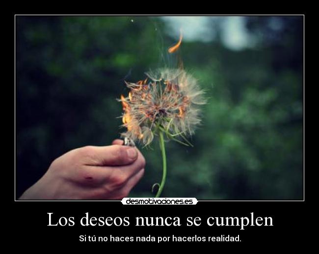 Los deseos nunca se cumplen - 