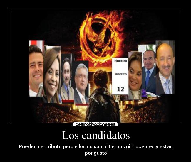 Los candidatos - Pueden ser tributo pero ellos no son ni tiernos ni inocentes y estan por gusto