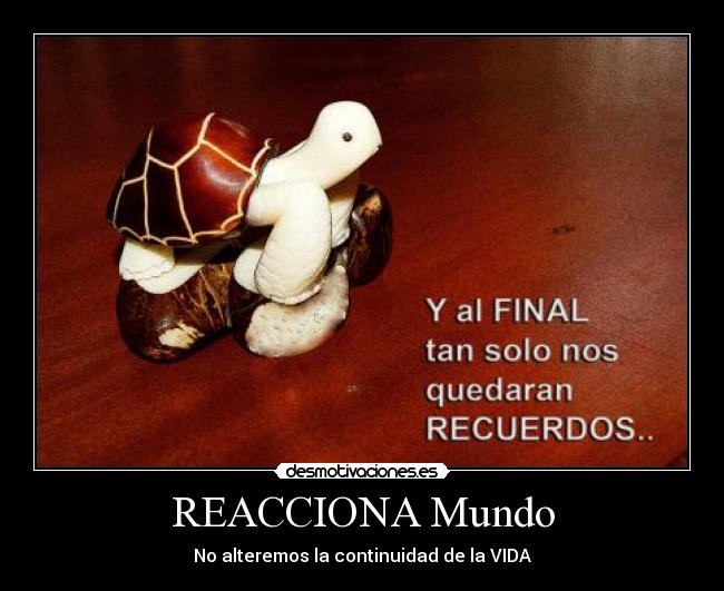 REACCIONA Mundo - No alteremos la continuidad de la VIDA