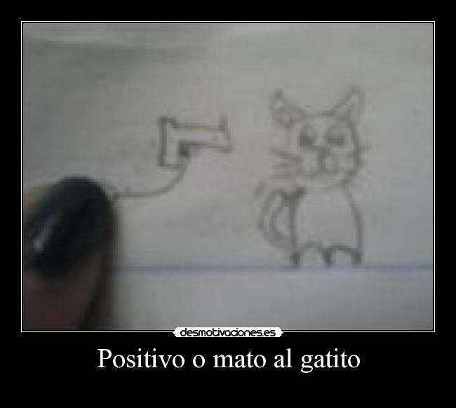 Positivo o mato al gatito - 