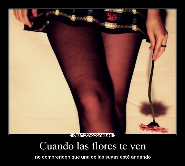 Cuando las flores te ven -