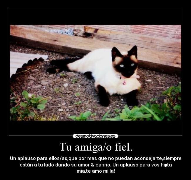 Tu amiga/o fiel. -
