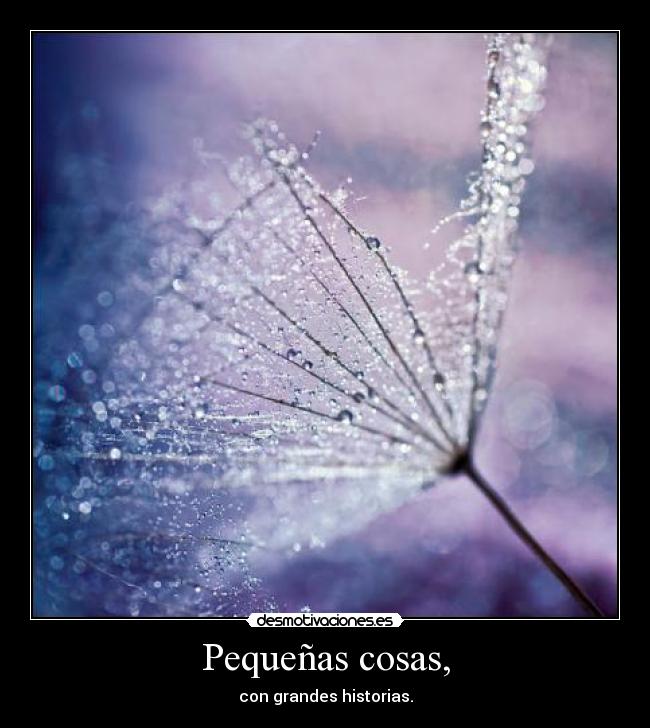Pequeñas cosas, -