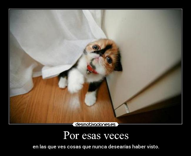 Por esas veces - en las que ves cosas que nunca desearías haber visto.