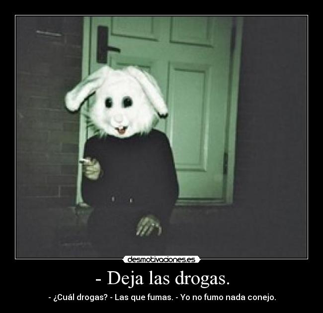 - Deja las drogas. - - ¿Cuál drogas? - Las que fumas. - Yo no fumo nada conejo.