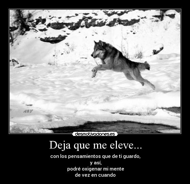 carteles 224 aby dice dreadk elevarse por encima del blanco humo mola desmotivaciones