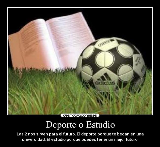 carteles decide desmotivaciones