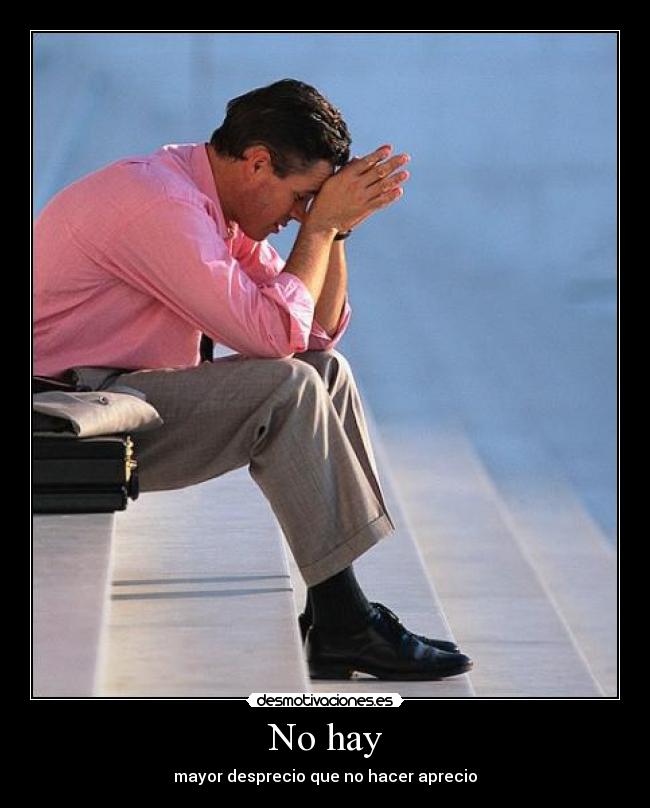 No hay - mayor desprecio que no hacer aprecio