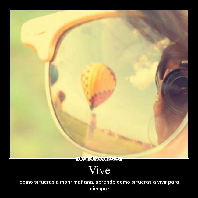 Vive -