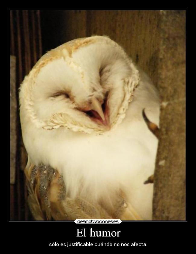carteles humor senorterror pido perdon desmotivaciones