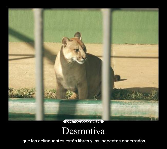 Desmotiva - 