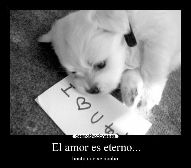 El amor es eterno... - hasta que se acaba.