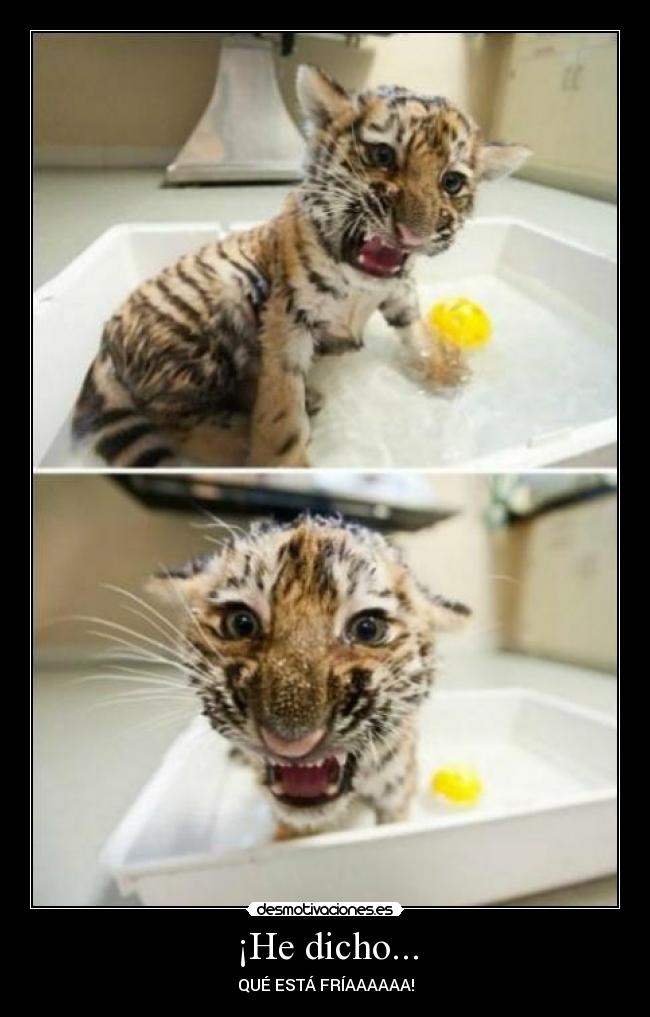 ¡He dicho... - QUÉ ESTÁ FRÍAAAAAA!