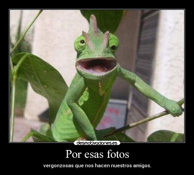 Por esas fotos -