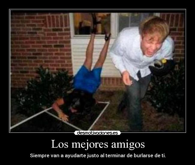 Los mejores amigos - Siempre van a ayudarte justo al terminar de burlarse de ti.
