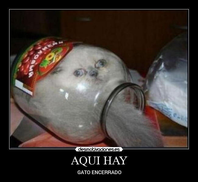 AQUI HAY -