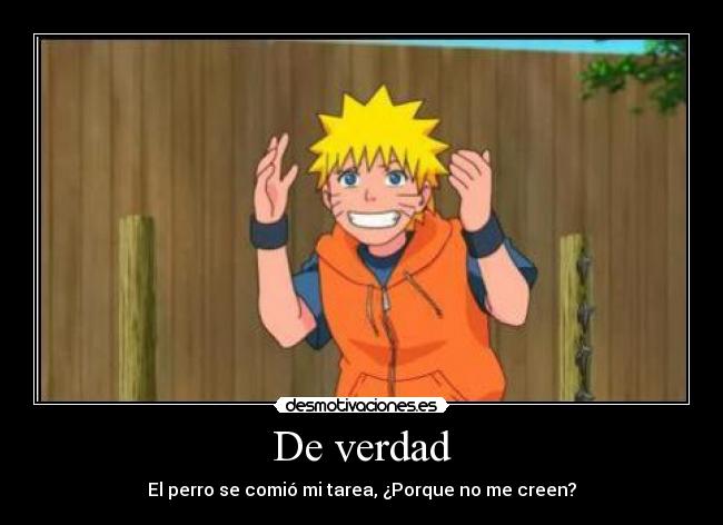 De verdad - El perro se comió mi tarea, ¿Porque no me creen?