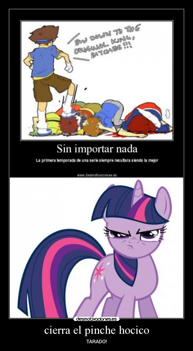 cierra el pinche hocico - TARADO!