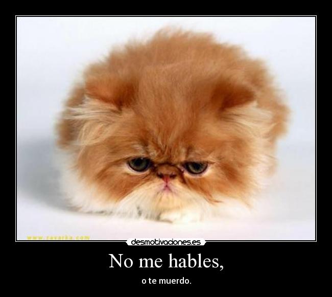 No me hables, - 