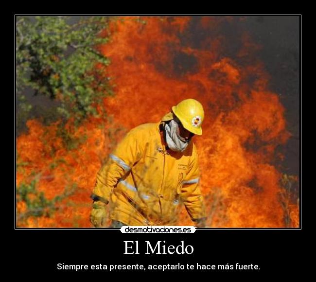 carteles miedo miedo desmotivaciones