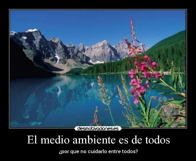 El medio ambiente es de todos -