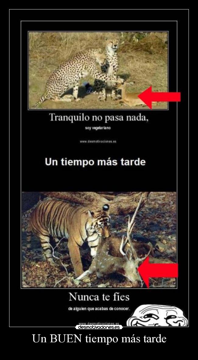 Un BUEN tiempo más tarde - 