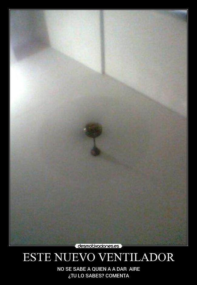 carteles doris desmotivaciones