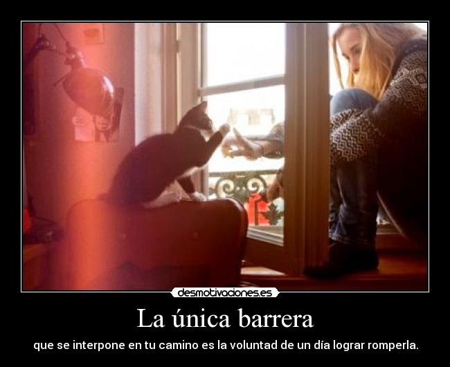 La única barrera - que se interpone en tu camino es la voluntad de un día lograr romperla.