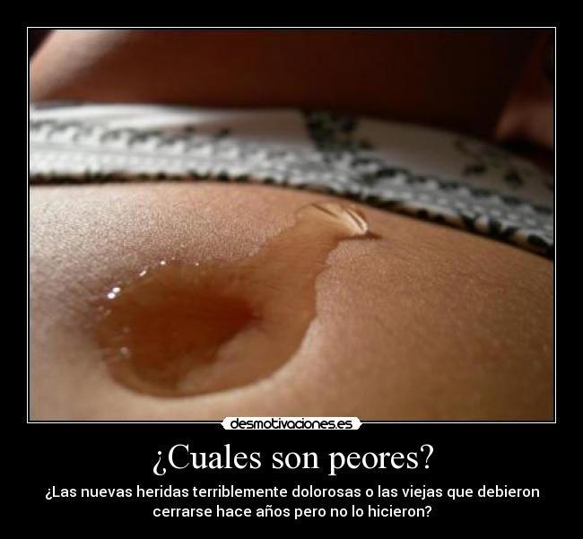 carteles anatomia grey desmotivaciones