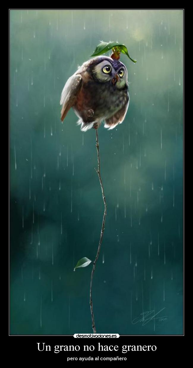 Un grano no hace granero - pero ayuda al compañero