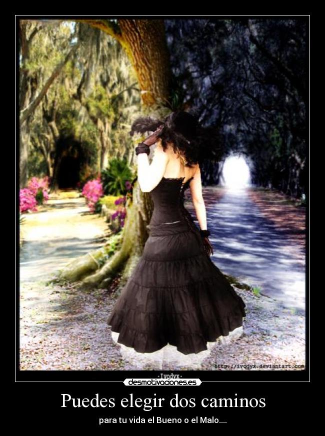 Puedes elegir dos caminos -