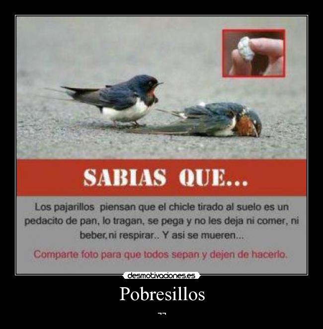 Pobresillos - ¬¬
