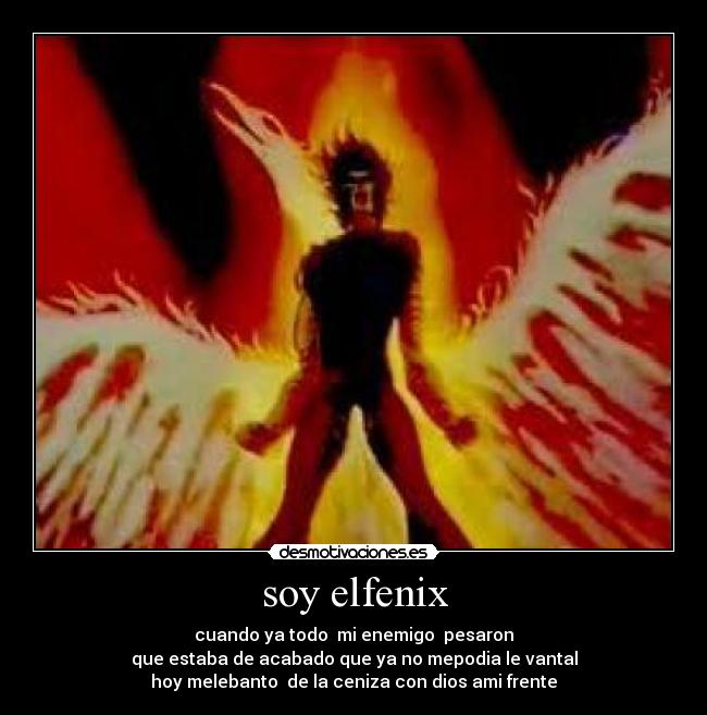 soy elfenix - 