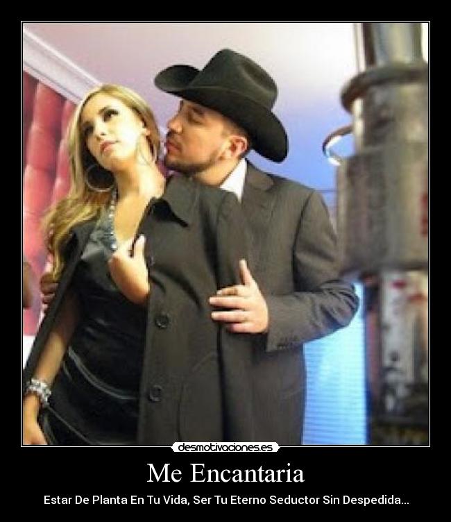 carteles pelos desmotivaciones