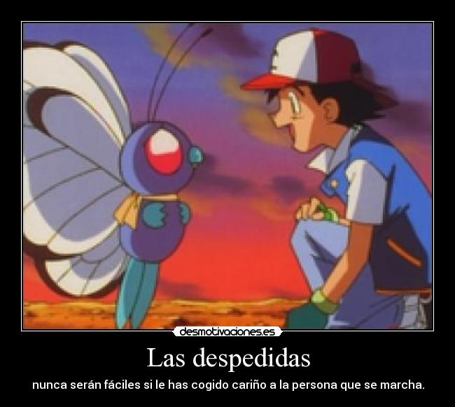 Las despedidas - nunca serán fáciles si le has cogido cariño a la persona que se marcha.