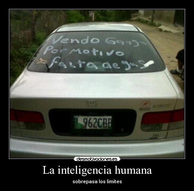 La inteligencia humana - sobrepasa los limites
