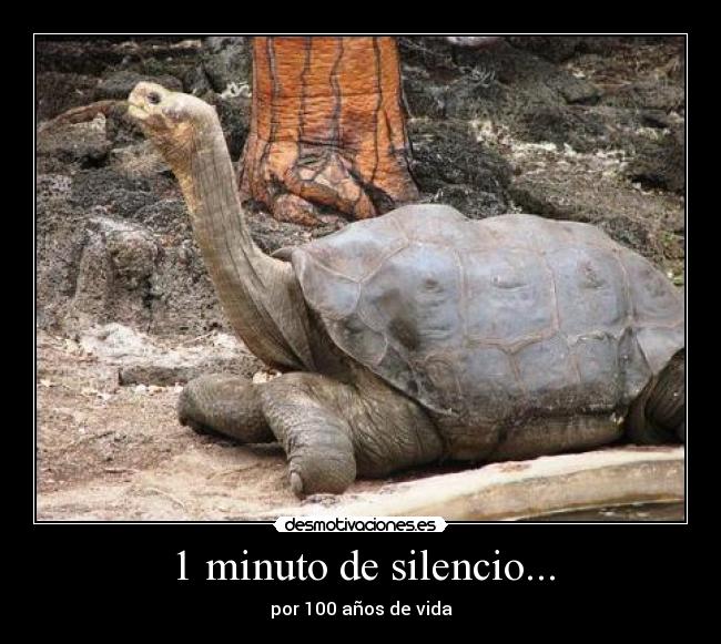 1 minuto de silencio... - por 100 años de vida