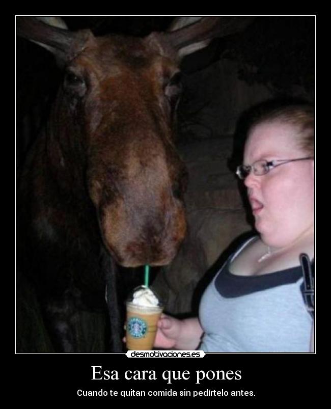 Esa cara que pones - Cuando te quitan comida sin pedírtelo antes.