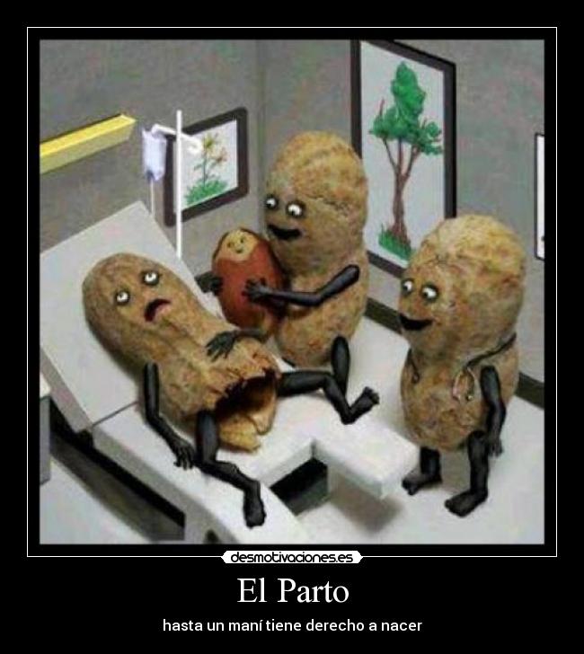 El Parto - hasta un maní tiene derecho a nacer
