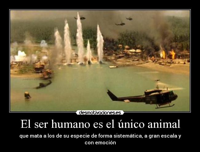 carteles ocasiones siquiera por supervivencia foton apocalypse now faure guerras guerras desmotivaciones