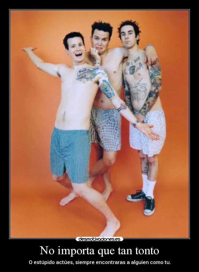 No importa que tan tonto - 